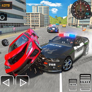 Simulation